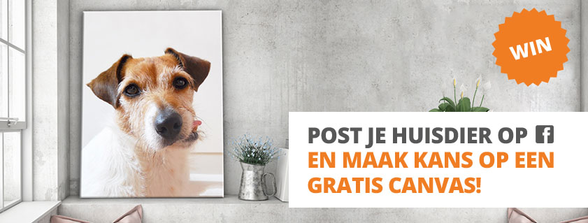Winactie dierendag