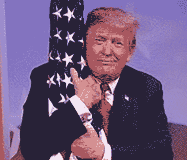 Trump Loves Flags