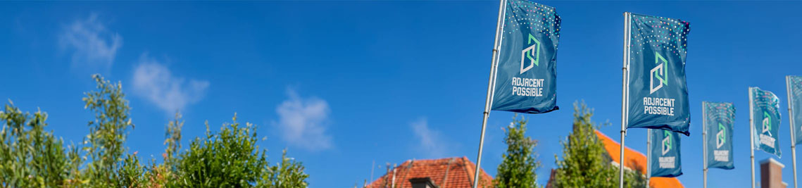 vlag bedrukken